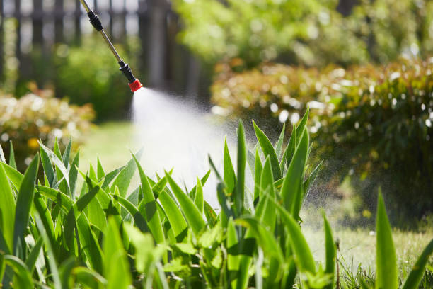 Tamper-Resistant Bait Stations for Rodents in Crafton