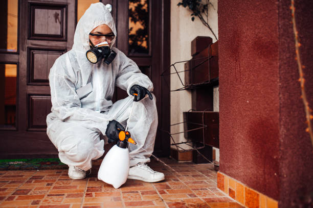 Attic and Crawl Space Rodent Treatment in Crafton