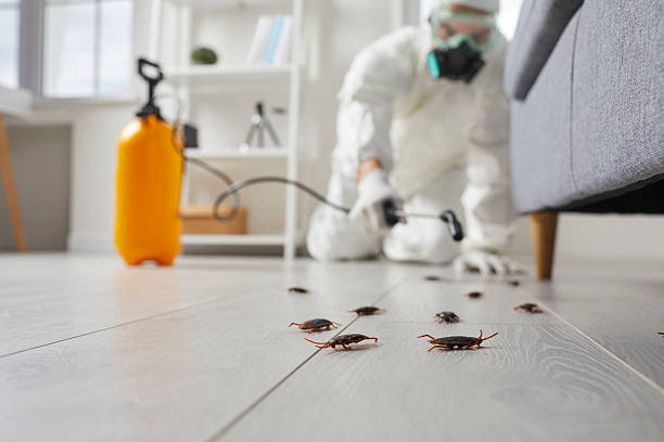 Commercial Rodent Management in Crafton